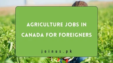 Photo of Agriculture Jobs in Canada for Foreigners 2024 – Visa Sponsorship