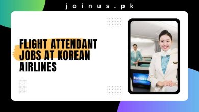 Photo of Flight Attendant Jobs At Korean Airlines 2024 – Apply Here