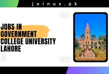 Photo of Jobs In Government College University Lahore  2024