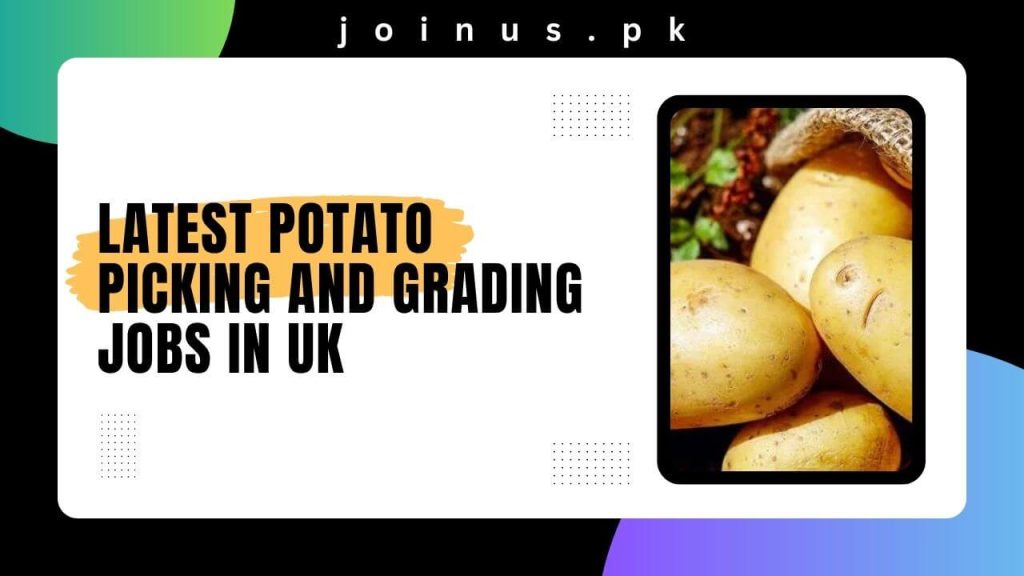 Latest Potato Picking and Grading Jobs in UK