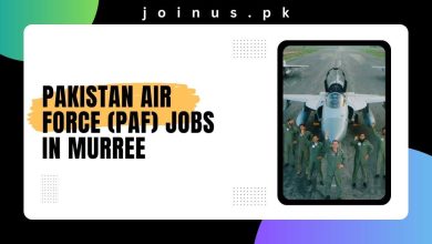 Photo of Pakistan Air Force (PAF) Jobs in Murree 2024 – Apply Here