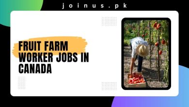 Photo of Fruit Farm Worker Jobs in Canada 2025 – Visa Sponsorship