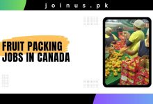 Photo of Fruit Packing Jobs in Canada 2024 – Visa Sponsorship