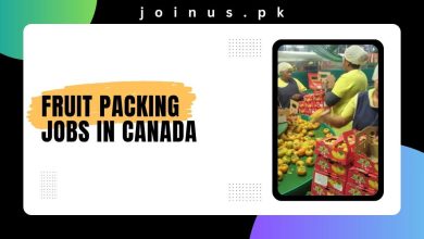 Photo of Fruit Packing Jobs in Canada 2024 – Visa Sponsorship