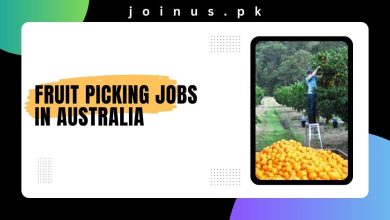 Photo of Fruit Picking Jobs in Australia 2024 – Apply now