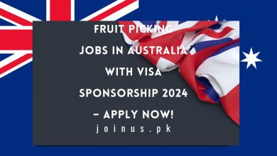 Photo of Fruit Picking Jobs in Australia With Visa Sponsorship 2024