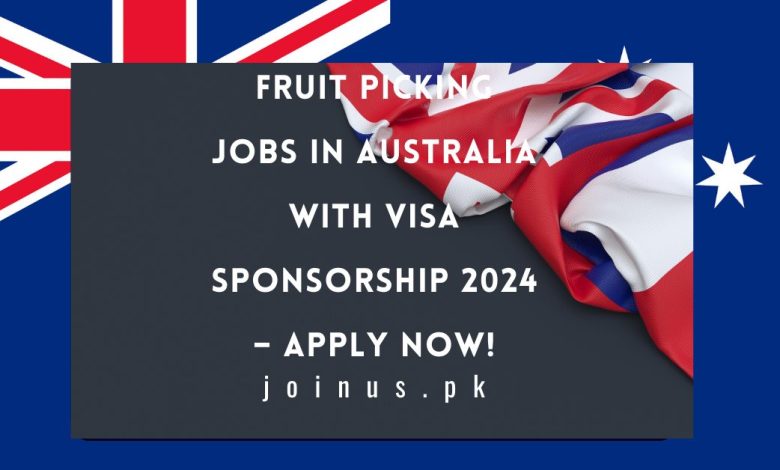 Fruit Picking Jobs in Australia With Visa Sponsorship
