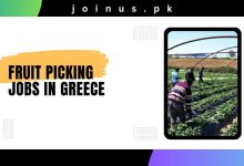 Photo of Fruit Picking Jobs in Greece 2025 – Visa Sponsorship