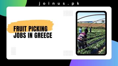 Photo of Fruit Picking Jobs in Greece 2024 – Visa Sponsorship