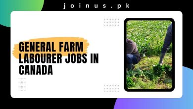 Photo of General Farm Labourer Jobs in Canada 2024 – Visa Sponsorship