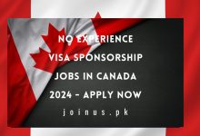 Photo of No Experience Visa Sponsorship Jobs in Canada 2024 – Apply Now