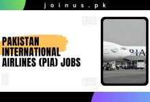 Photo of Pakistan International Airlines (PIA) Jobs 2024 – Apply Now