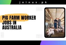 Photo of Pig Farm Worker Jobs in Australia 2025 – 482 Visa Sponsorship