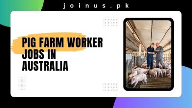 Photo of Pig Farm Worker Jobs in Australia 2025 – 482 Visa Sponsorship