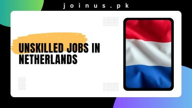 Photo of Unskilled Jobs in Netherlands 2024 – Visa Sponsorship