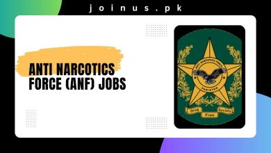 Photo of Anti Narcotics Force (ANF) Jobs 2024 – Apply Now