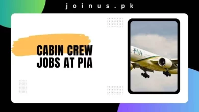 Photo of Cabin Crew Jobs at PIA 2024 – Pakistan International Airline