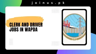 Photo of Clerk and Driver Jobs in WAPDA 2025 – Apply Online