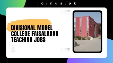 Photo of Divisional Model College Faisalabad Teaching Jobs 2024