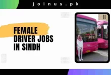 Photo of Female Driver Jobs in Sindh 2024 – Pink Buses