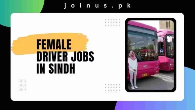 Photo of Female Driver Jobs in Sindh 2024 – Pink Buses