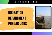 Photo of Irrigation Department Punjab Jobs 2024 – Apply Now