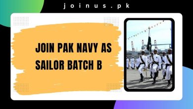 Photo of Join Pak Navy as Sailor Batch B-2024 – Apply Online