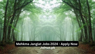 Photo of Mehkma Janglat Jobs 2024 – Apply Now