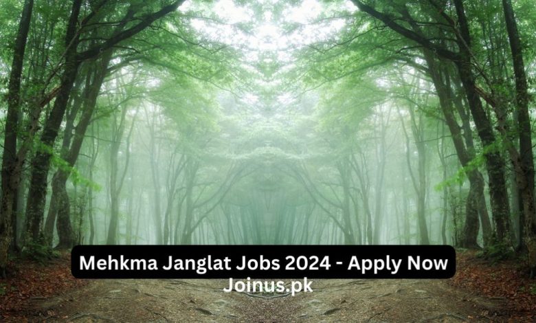 Mehkma Janglat Jobs 2024 - Apply Now