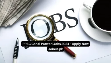 Photo of PPSC Canal Patwari Jobs 2024 – Apply Now