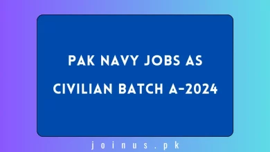 Photo of Pak Navy Jobs as Civilian Batch A-2024 – Apply Now