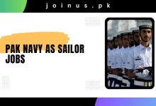 Photo of Pak Navy as Sailor Jobs 2024 – Visit Here