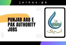 Photo of Punjab Aab e Pak Authority Jobs 2025 – Apply Now