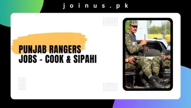 Photo of Punjab Rangers Jobs 2024 – Cook & Sipahi