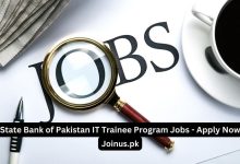 Photo of State Bank of Pakistan IT Trainee Program Jobs – Apply Now