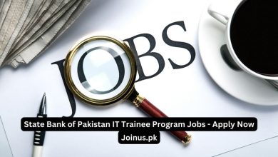 Photo of State Bank of Pakistan IT Trainee Program Jobs – Apply Now