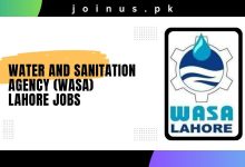 Photo of Water and Sanitation Agency (WASA) Lahore Jobs 2024