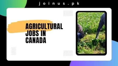 Photo of Agricultural Jobs in Canada 2024 – Free Work Visa