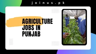 Photo of Agriculture Jobs in Punjab 2024 – Apply Now