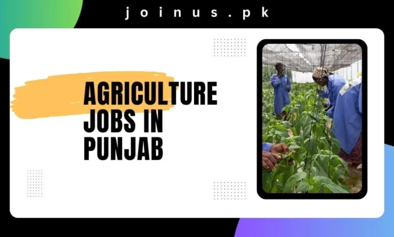 Photo of Agriculture Jobs in Punjab 2025 – Apply Now