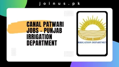 Photo of Canal Patwari Jobs 2024 – Punjab Irrigation Department