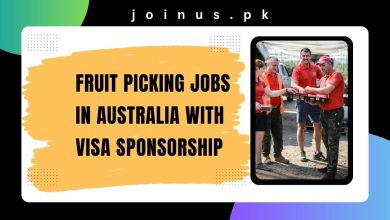 Photo of Fruit Picking Jobs in Australia With Visa Sponsorship 2024