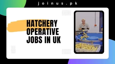 Photo of Hatchery Operative Jobs in UK 2024 – Visa Sponsorship