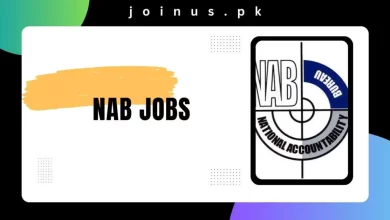 Photo of NAB Jobs 2024 – Apply Now
