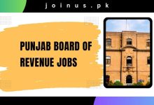 Photo of Punjab Board Of Revenue Jobs 2025 – Apply Now