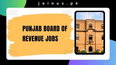 Photo of Punjab Board Of Revenue Jobs 2024 – Apply Now