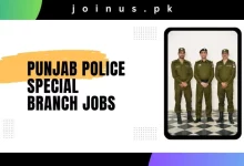 Photo of Punjab Police Special Branch Jobs 2025 – Apply Now