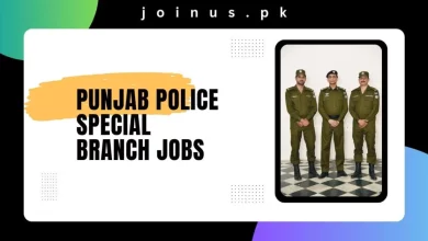 Photo of Punjab Police Special Branch Jobs 2024 – Apply Now