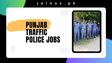 Photo of Punjab Traffic Police Jobs 2025 – Apply Now