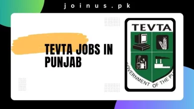 Photo of TEVTA Jobs in Punjab 2025 – Apply Now